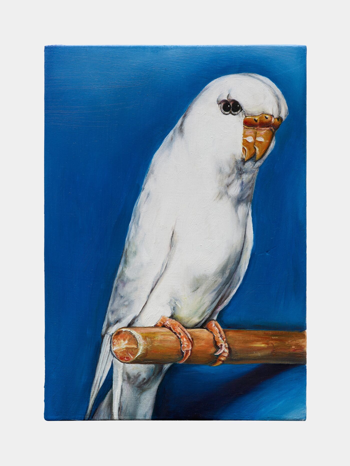 Galerie Lange + Pult – Léopold Rabus