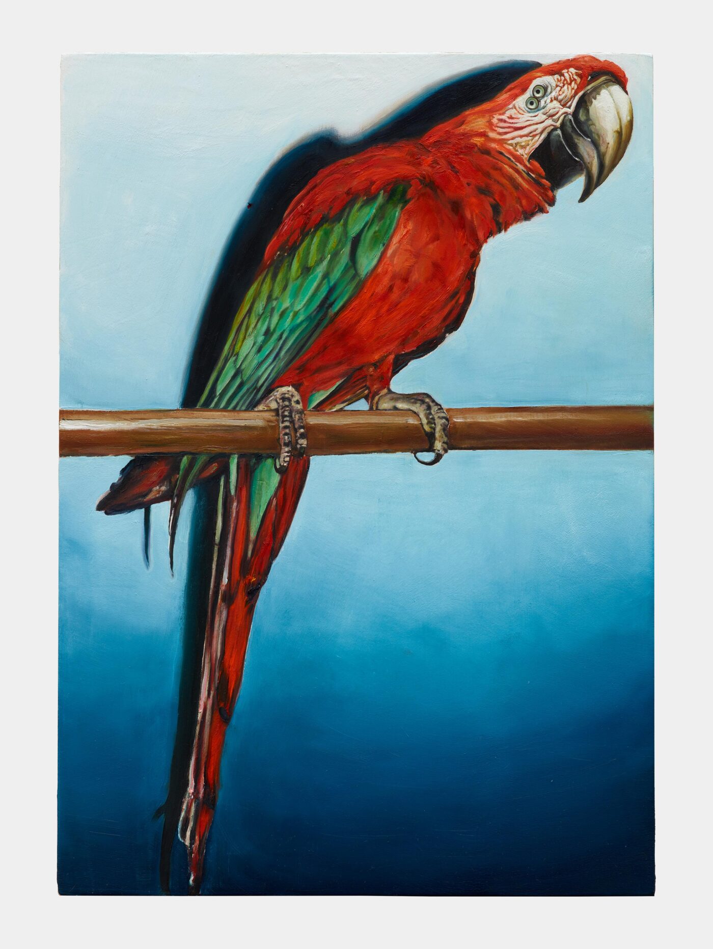 Galerie Lange + Pult – Léopold Rabus