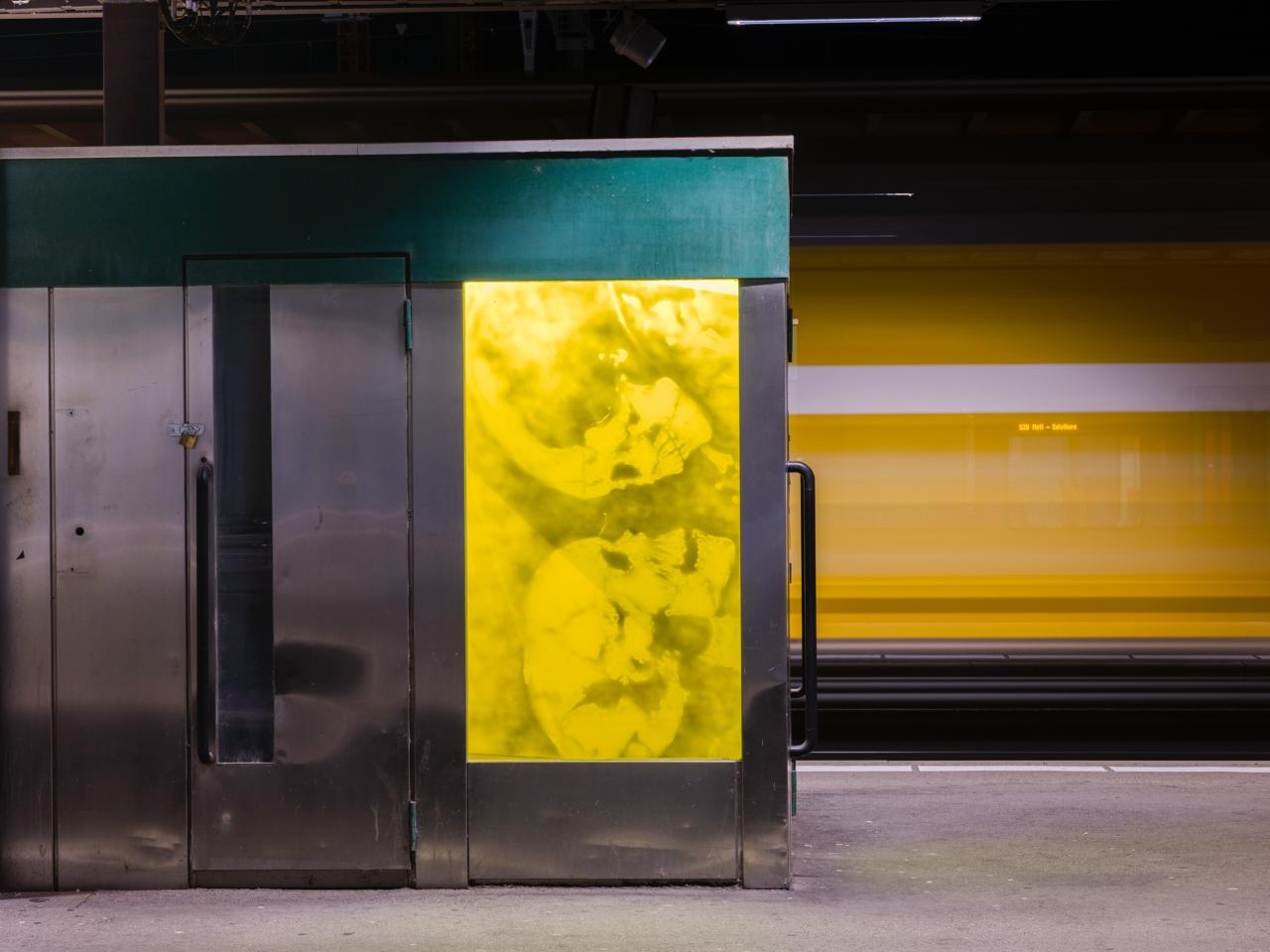 Natacha Donzé @ Biel Train station  on view at platform 2