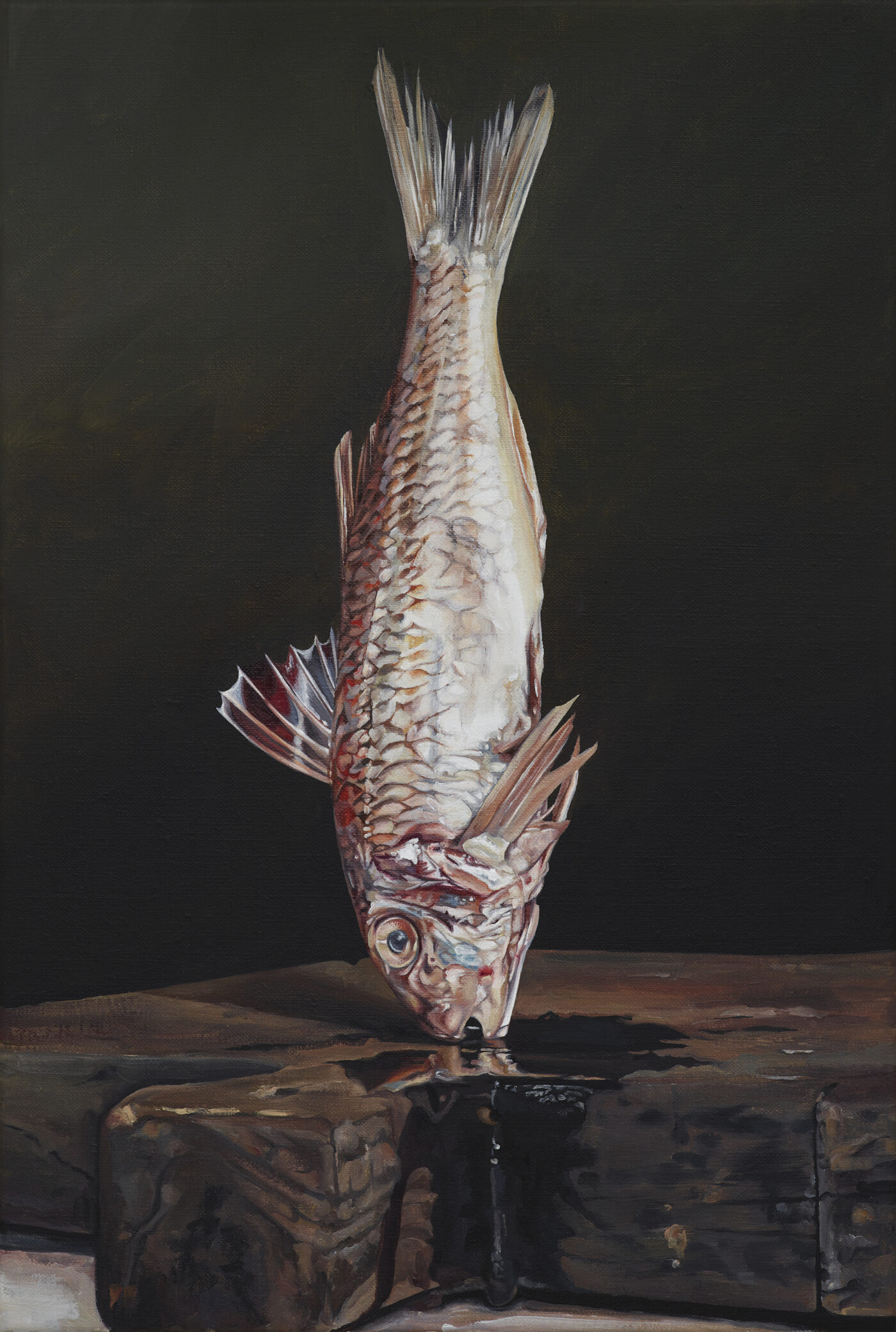 Galerie Lange + Pult – Till Rabus