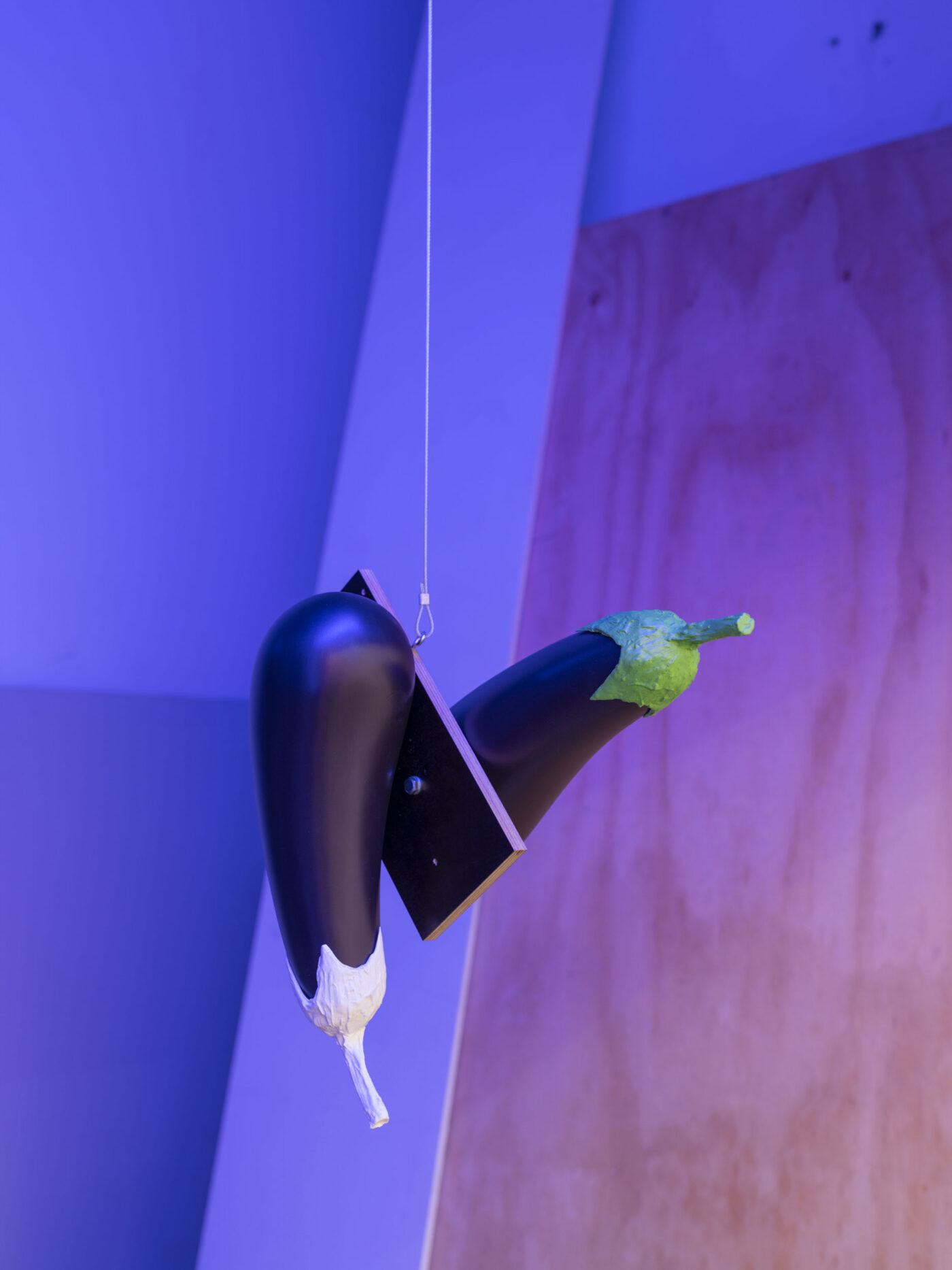 Galerie Lange + Pult – QUAE EST IN NATURA