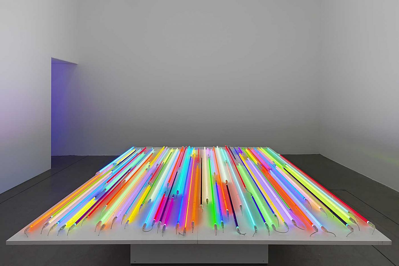 Christian Herdeg @ Haus Konstruktiv, Zurich Lyrical Minimalism