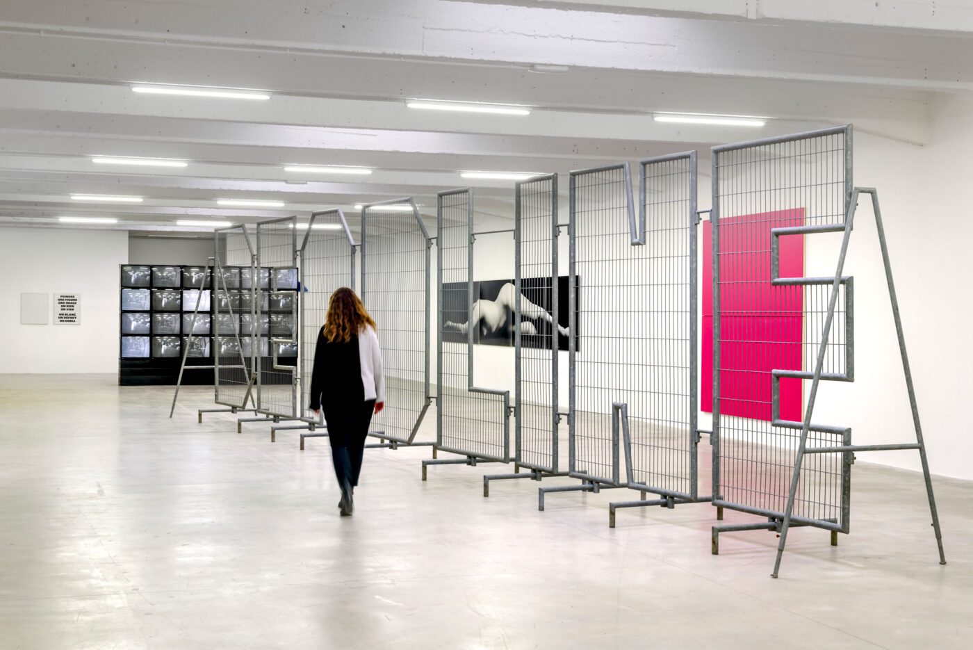 Sylvie Fleury, Olivier Mosset & Christian Robert-Tissot @ Consortium, Dijon, France&nbsp;Swiss Tonic