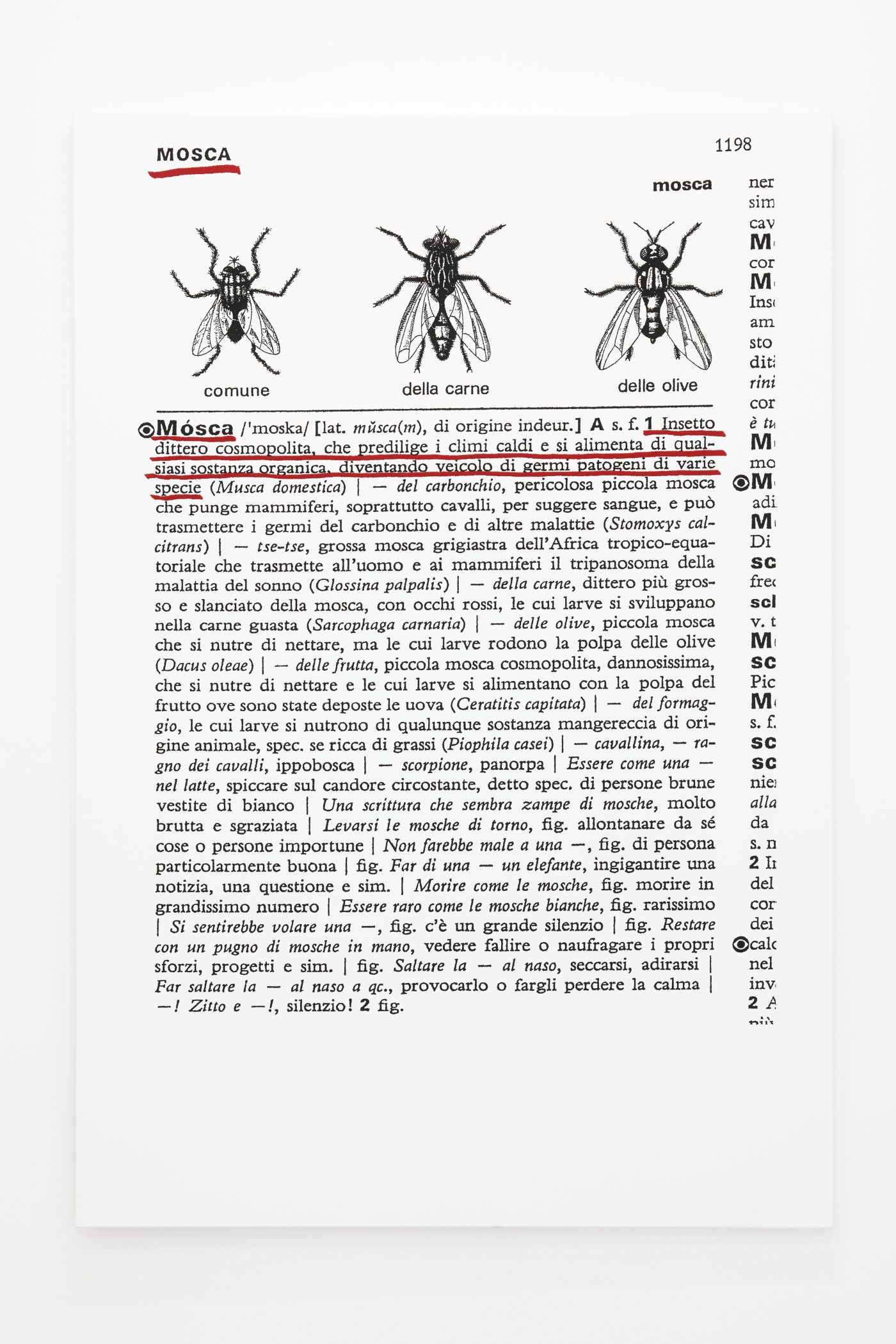 Galerie Lange + Pult – Donato Amstutz