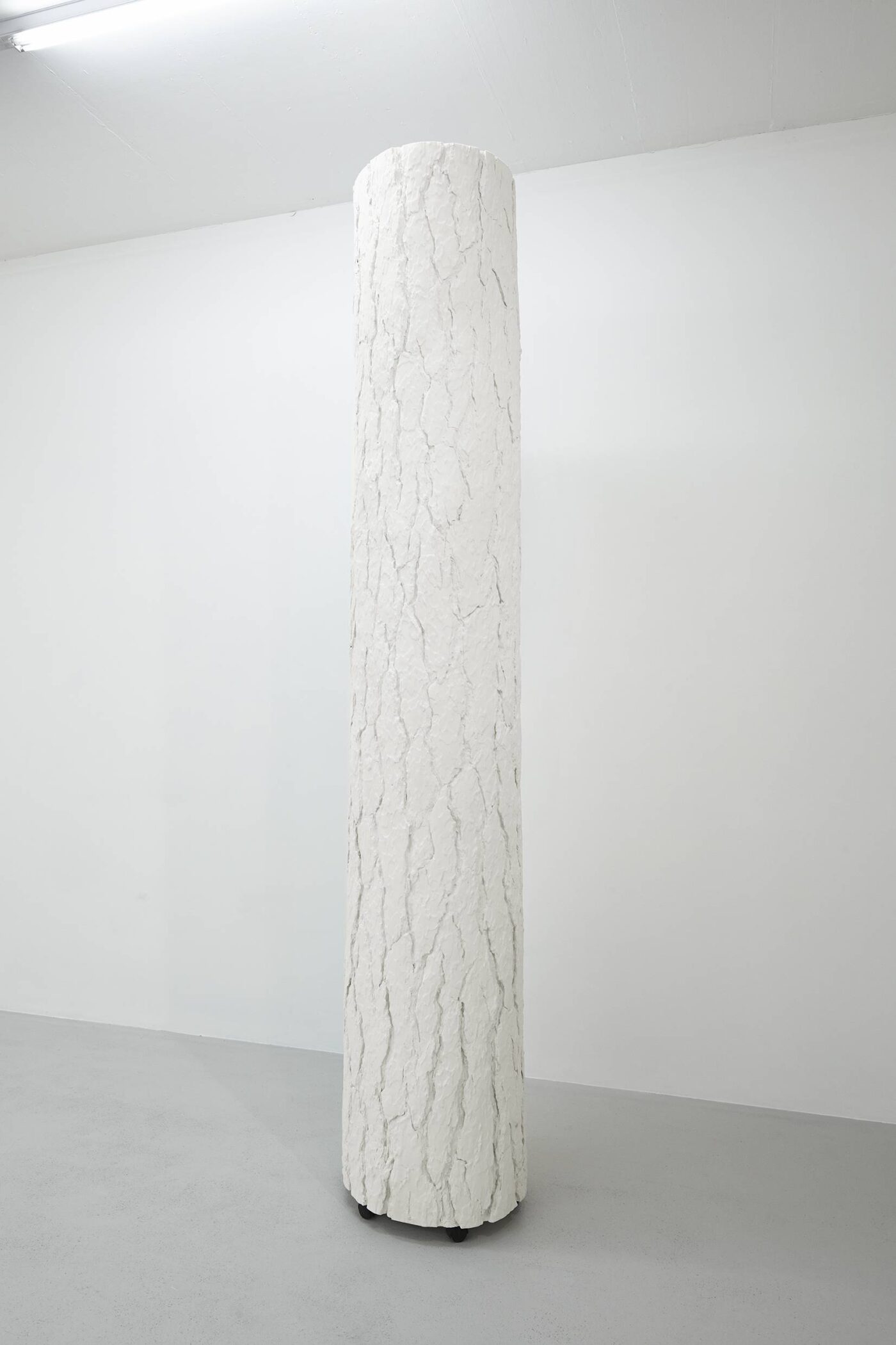 Galerie Lange + Pult – QUAE EST IN NATURA