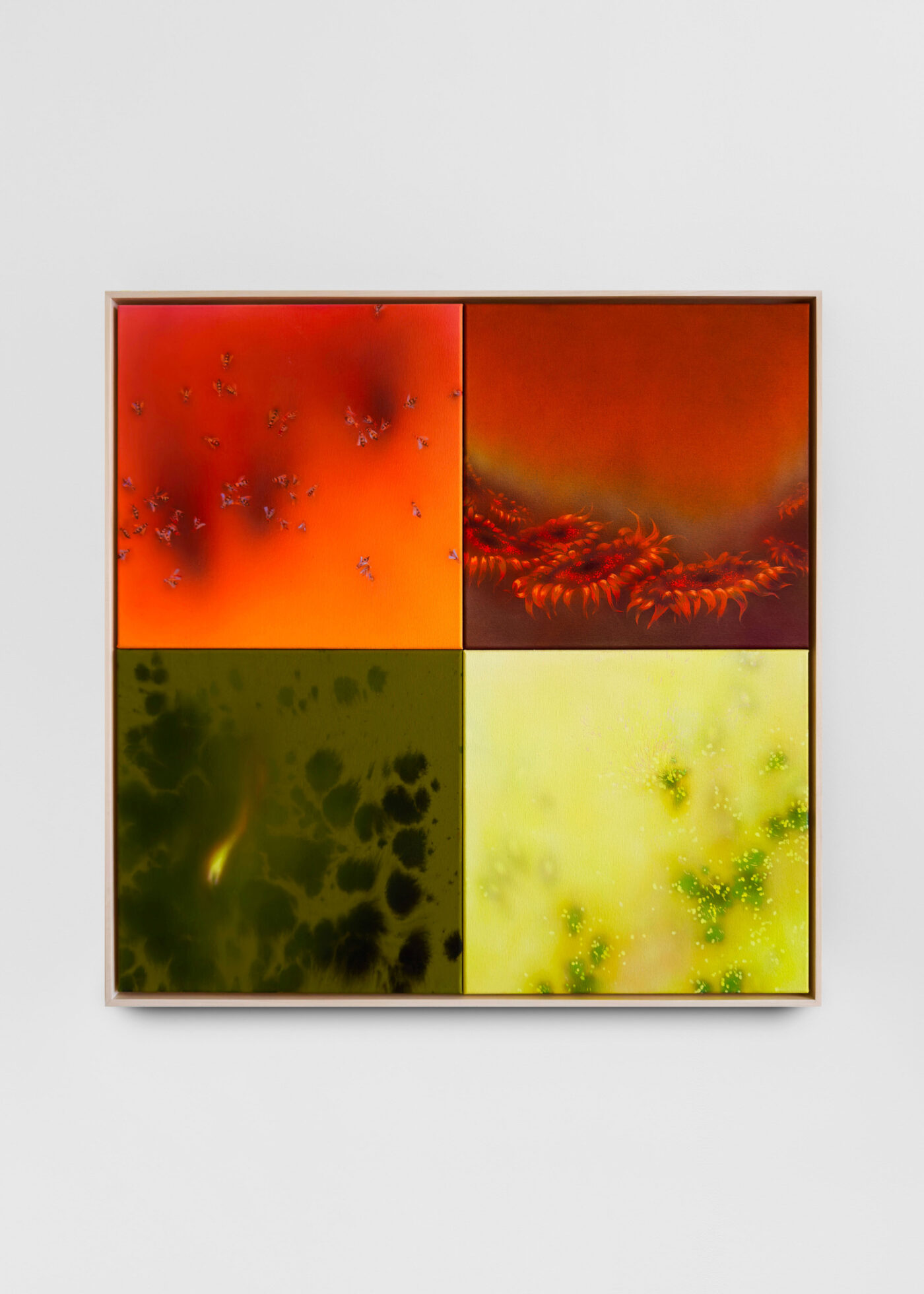 Galerie Lange + Pult – Natacha Donzé