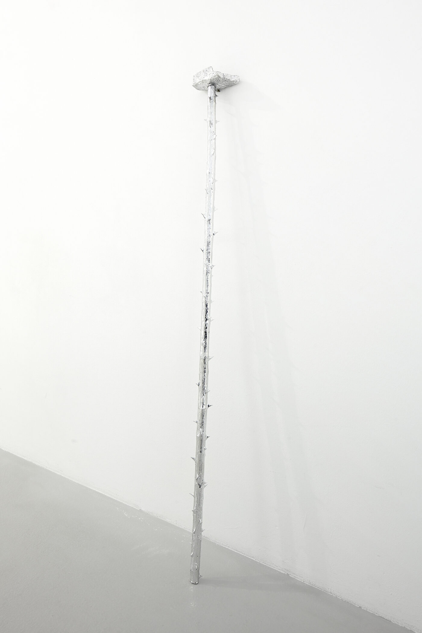 Galerie Lange + Pult – Didier Marcel