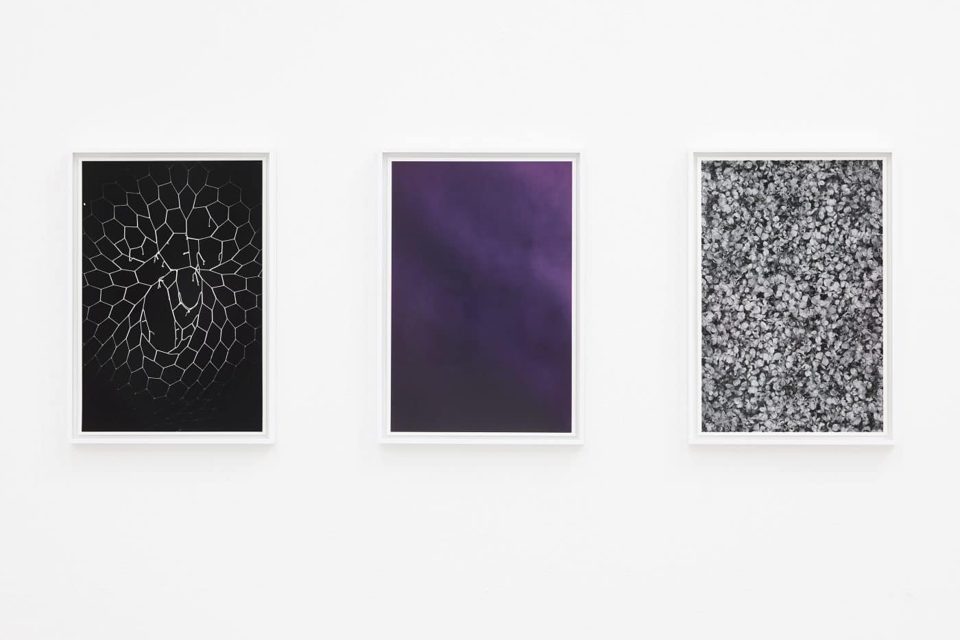 Galerie Lange + Pult – Pietro Mattioli