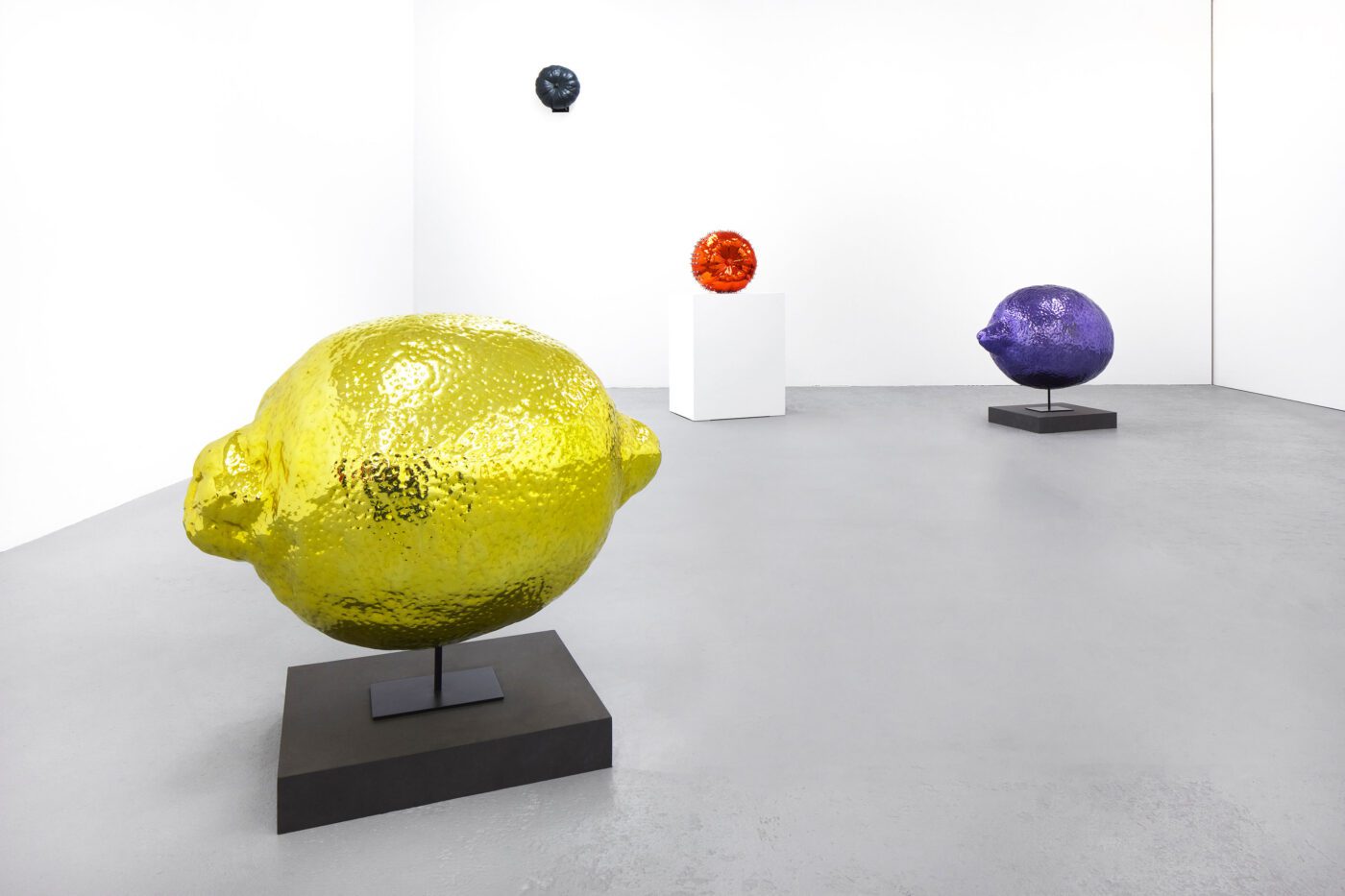 Galerie Lange + Pult – Didier Marcel