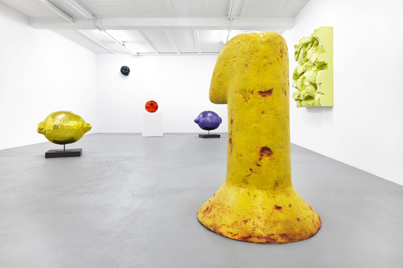 Galerie Lange + Pult – Didier Marcel