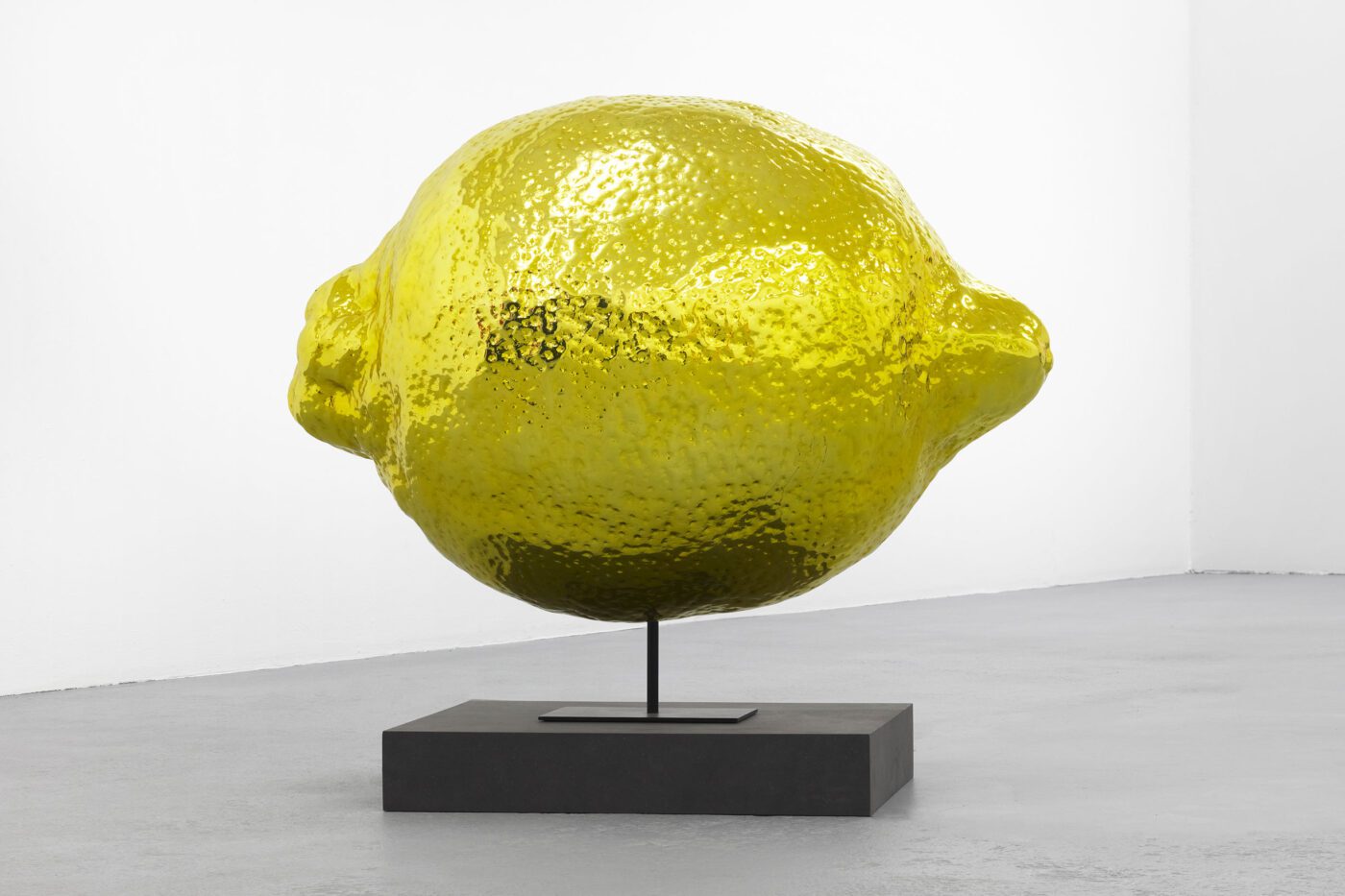 Galerie Lange + Pult – Didier Marcel