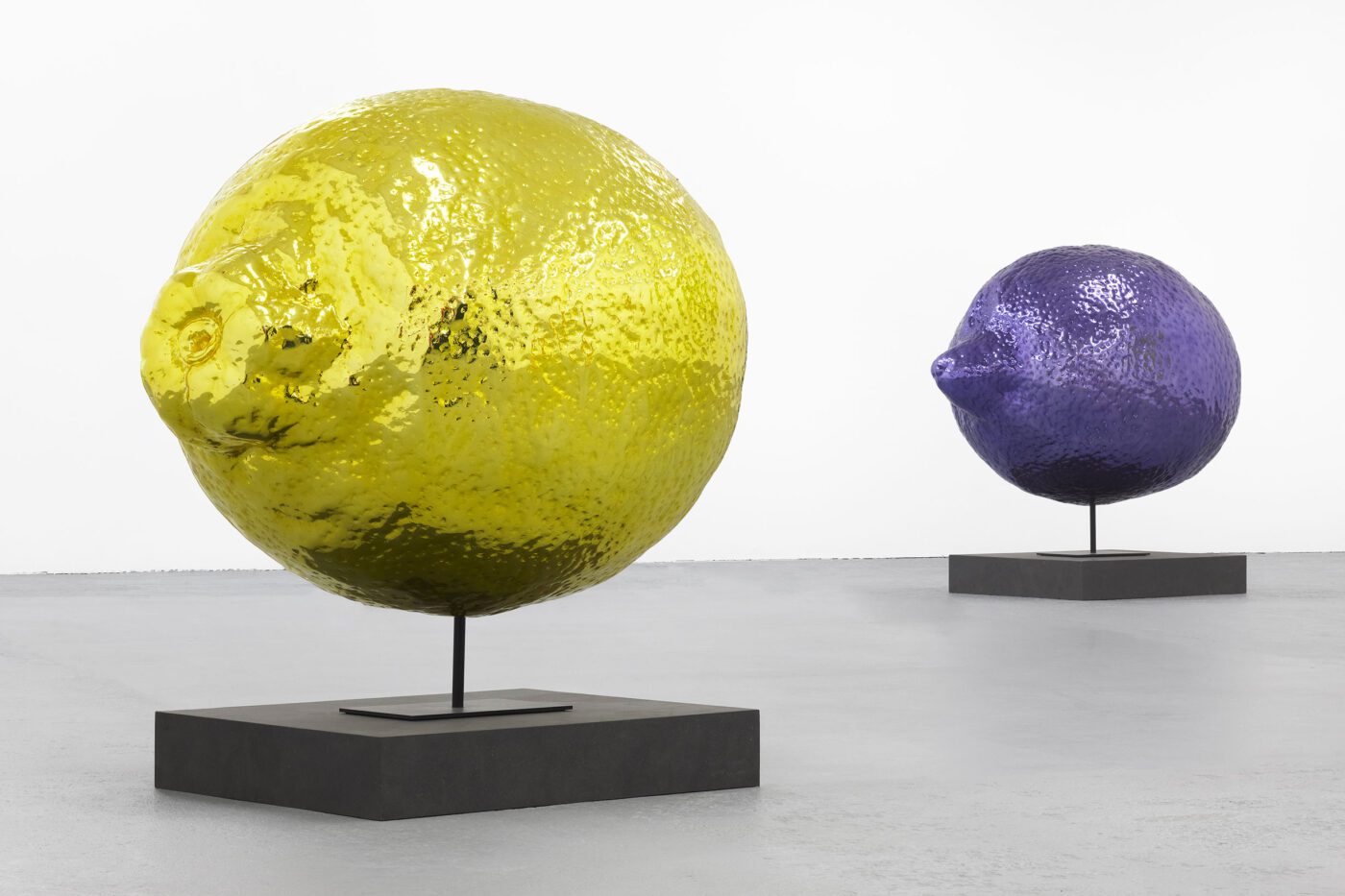 Galerie Lange + Pult – Didier Marcel