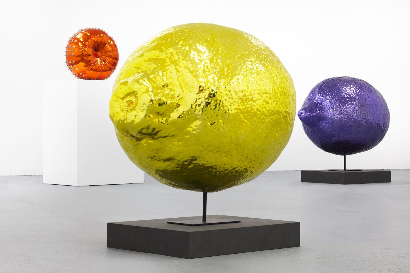 Galerie Lange + Pult – Didier Marcel
