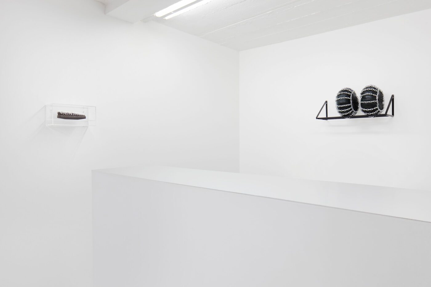 Galerie Lange + Pult – Didier Marcel