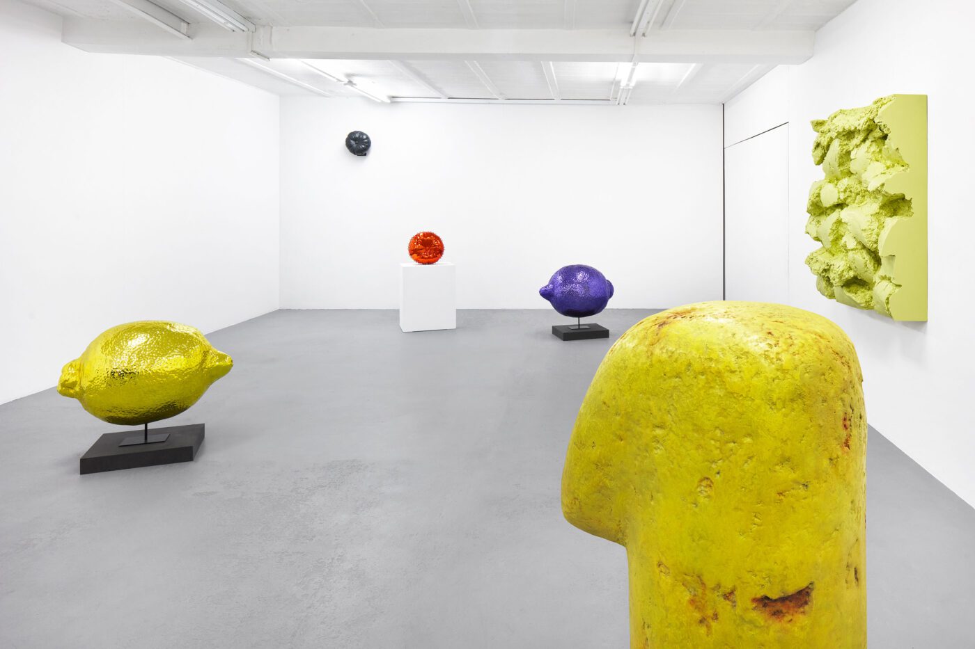 Galerie Lange + Pult – Didier Marcel