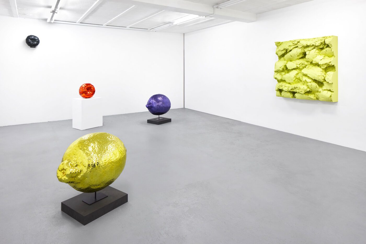 Galerie Lange + Pult – Didier Marcel