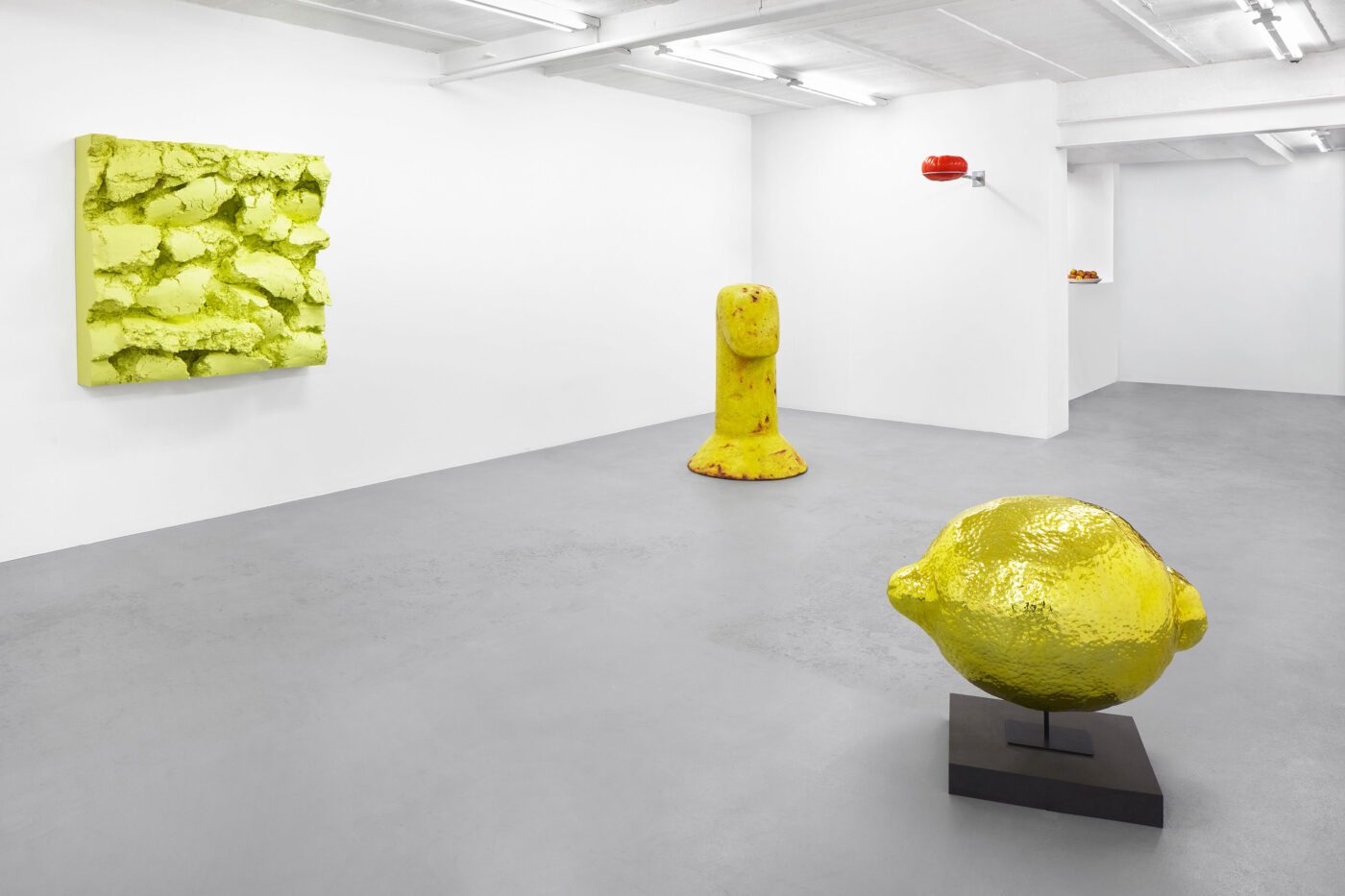 Galerie Lange + Pult – Didier Marcel