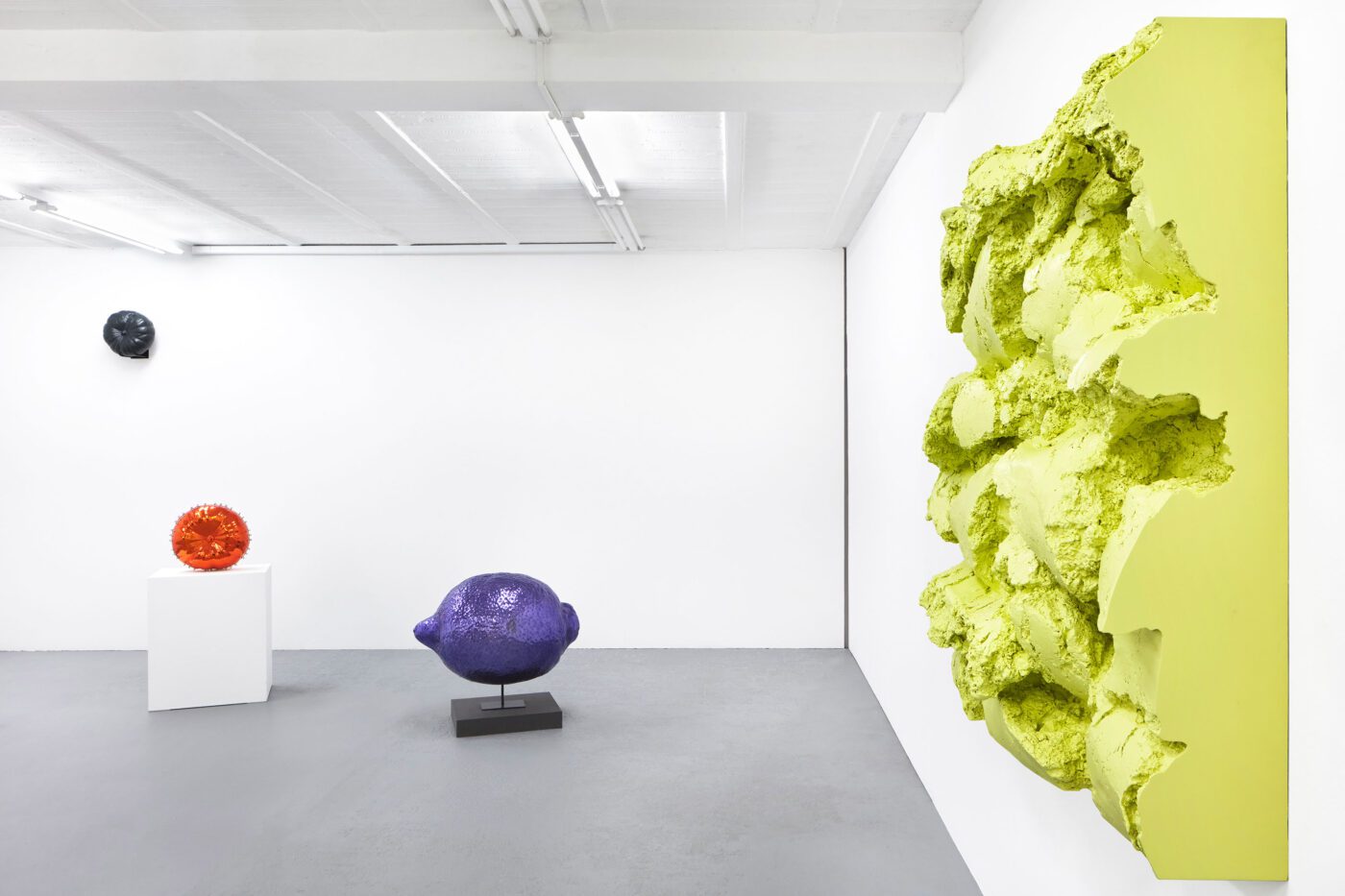 Galerie Lange + Pult – Didier Marcel