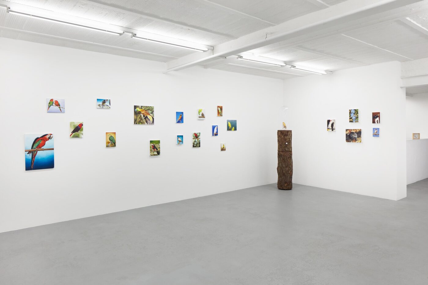 Galerie Lange + Pult – Léopold Rabus