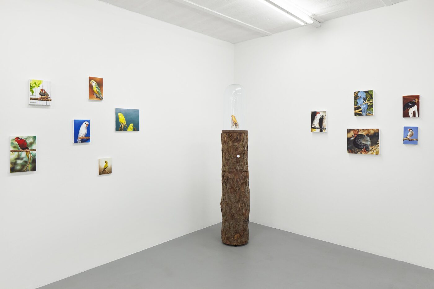 Galerie Lange + Pult – Léopold Rabus