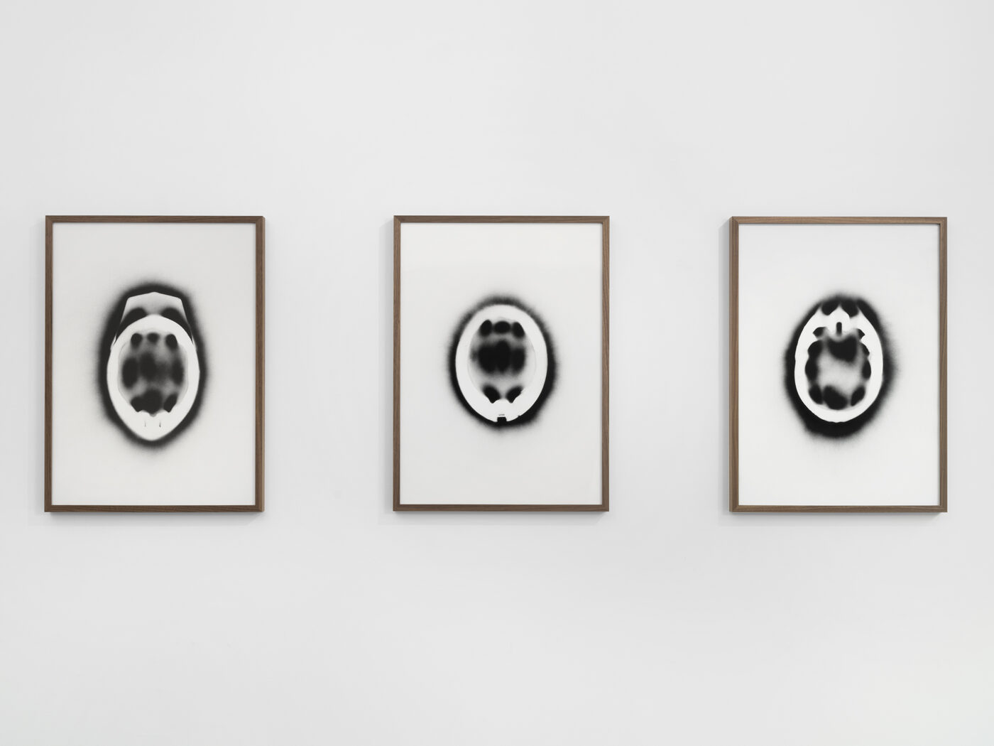 Galerie Lange + Pult – Delphine Reist 