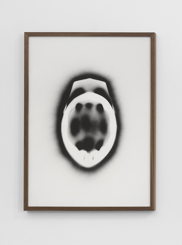 Galerie Lange + Pult – Delphine Reist