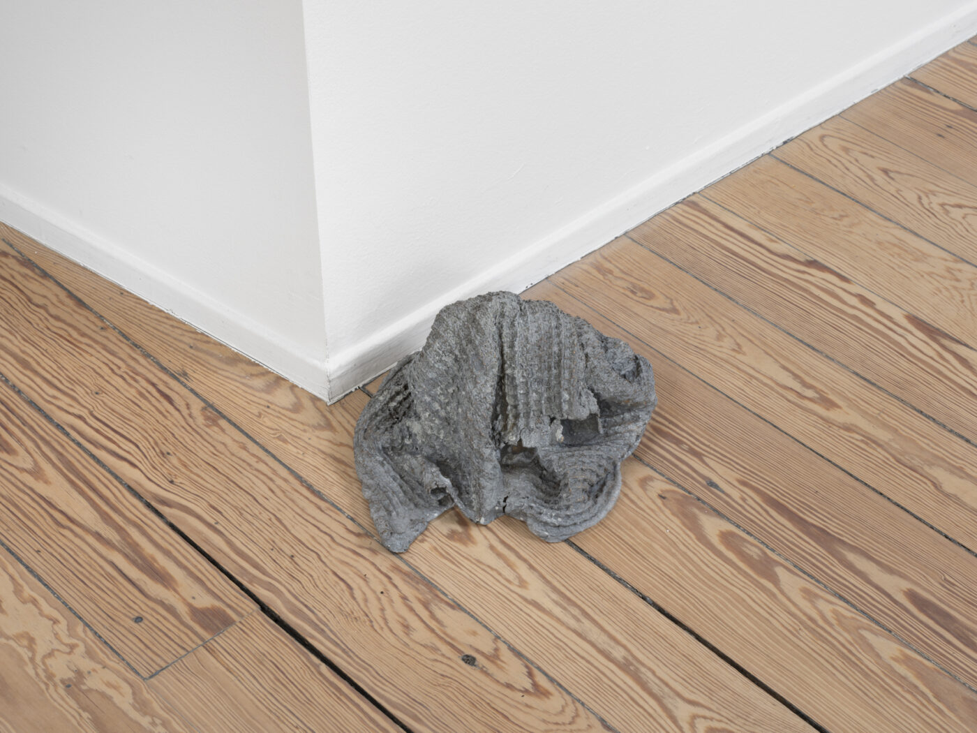 Galerie Lange + Pult – Delphine Reist