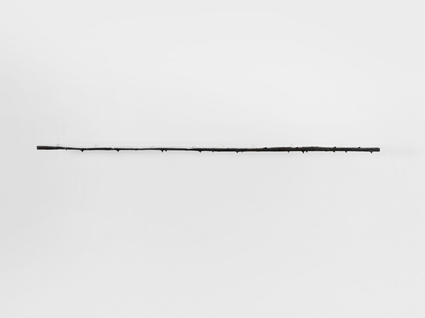 Galerie Lange + Pult – Didier Marcel