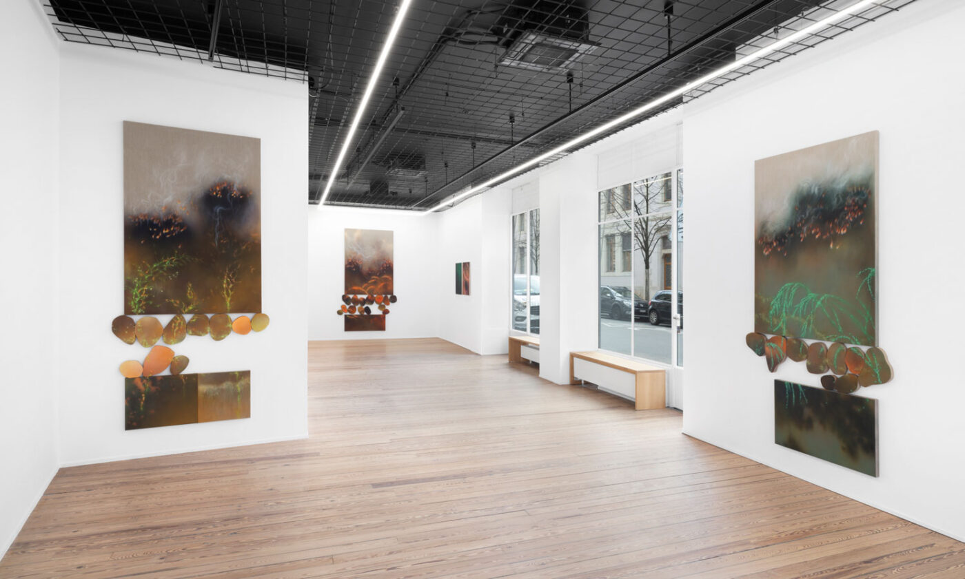 Galerie Lange + Pult – Natacha Donzé