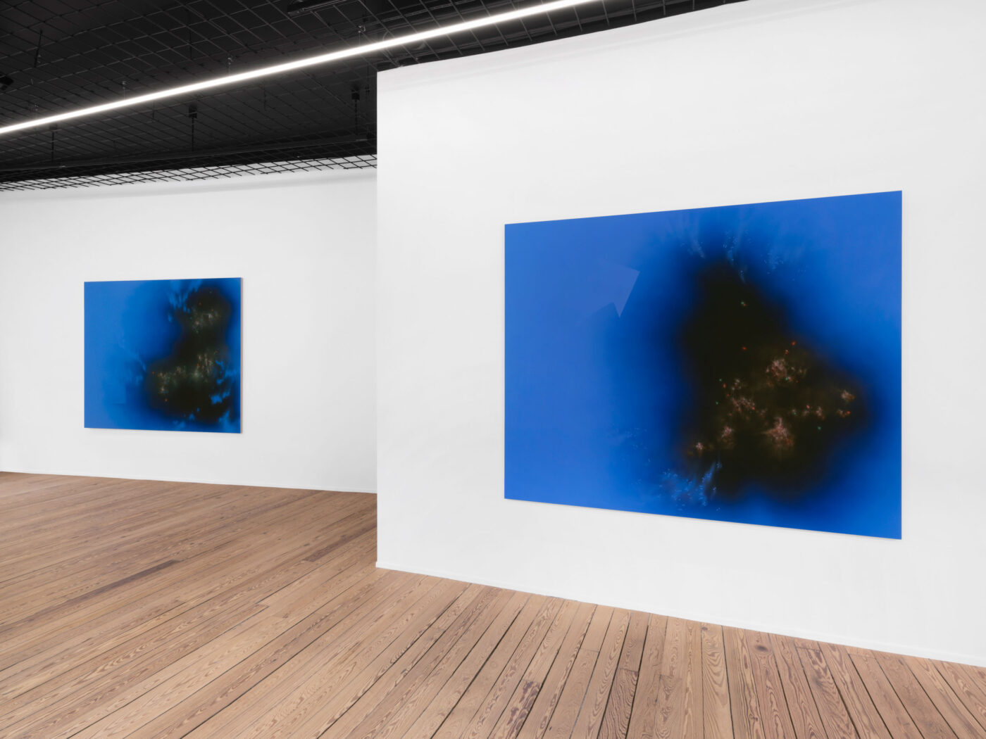 Galerie Lange + Pult – Natacha Donzé