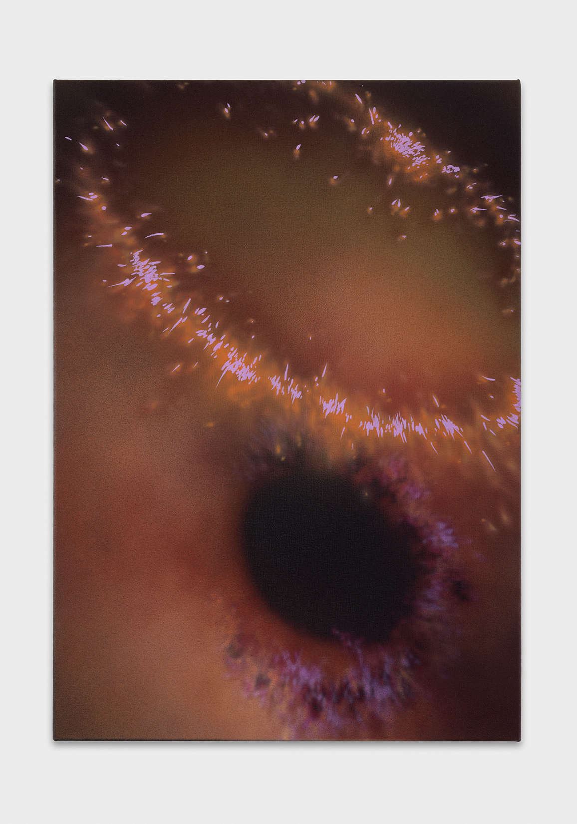 Galerie Lange + Pult – Natacha Donzé