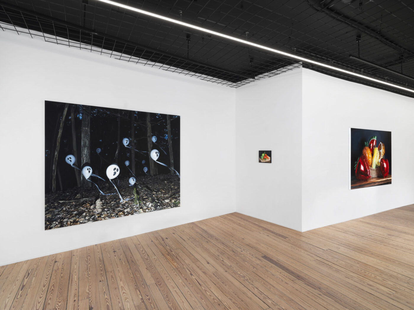 Galerie Lange + Pult – Till Rabus