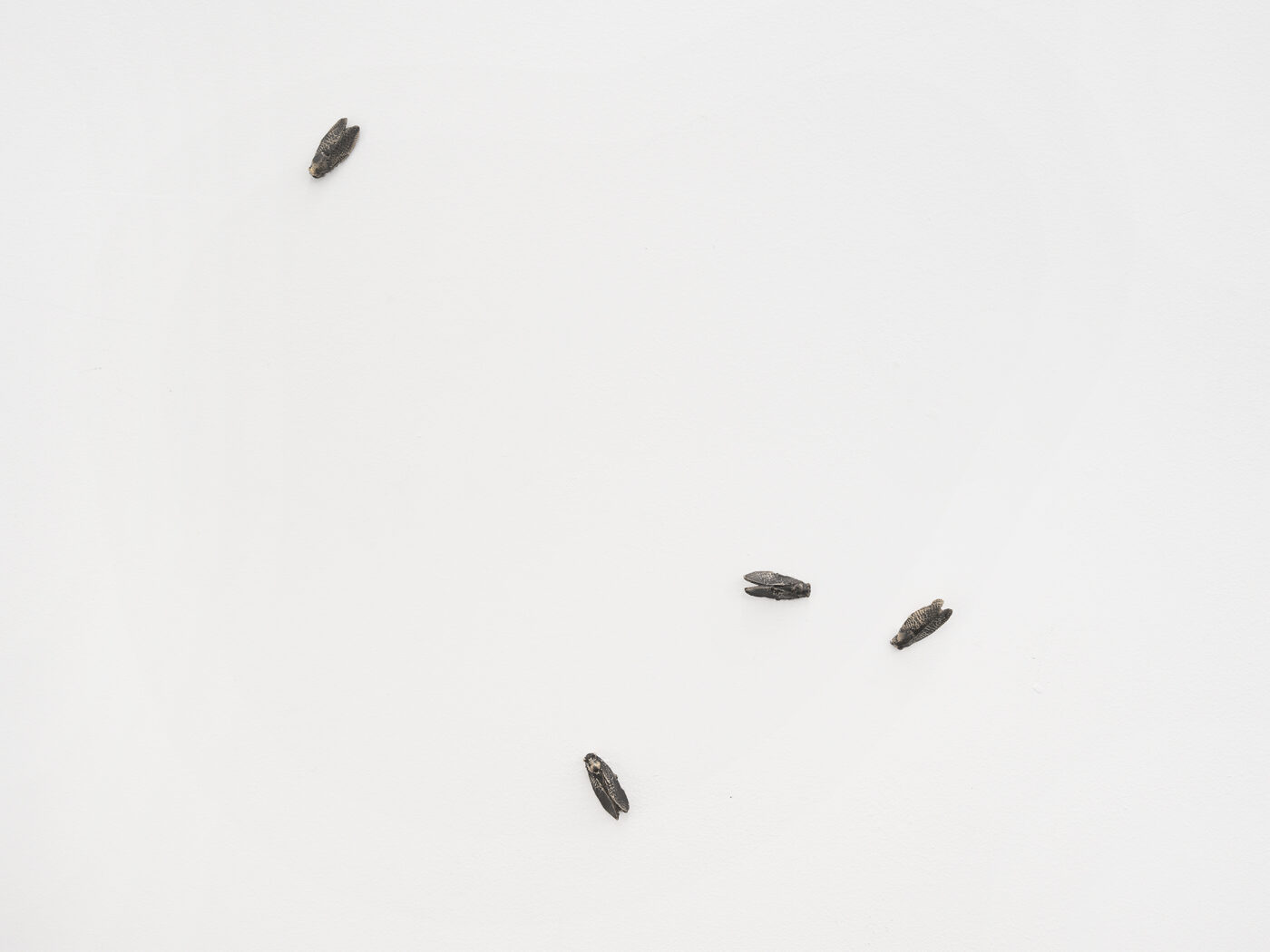 Galerie Lange + Pult – Melanie Akeret, Martin Bonnaz, Elise Corpataux, Natacha Donzé, Gritli Faulhaber, Sylvie Fleury,  Marta Margnetti, Caro Niederer,  Achraf Touloub, Ye Xe