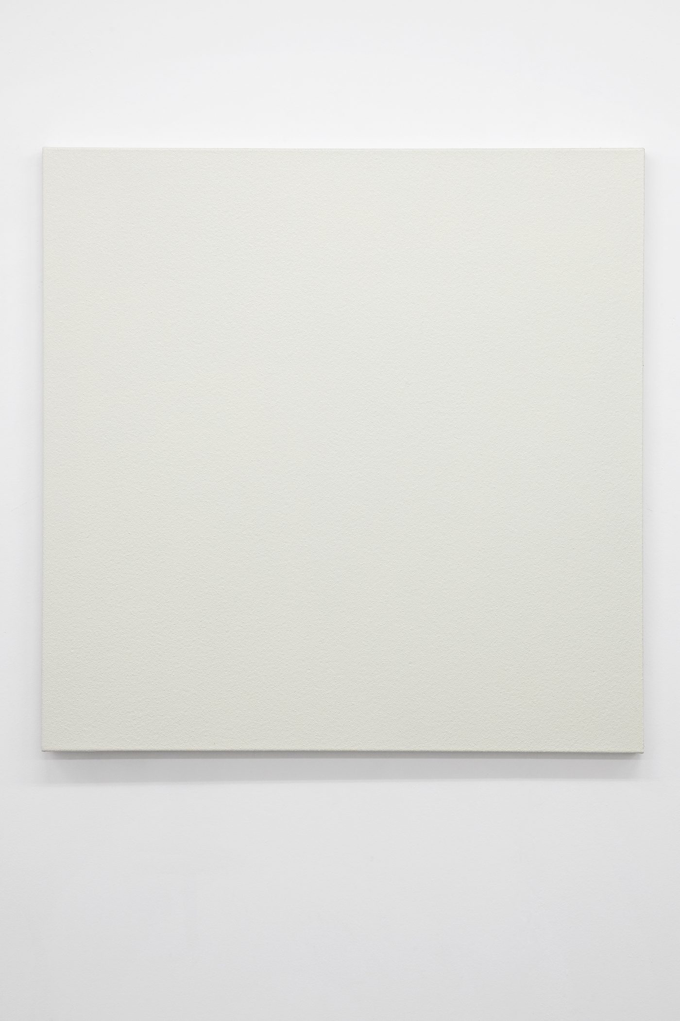 Galerie Lange + Pult – Olivier Mosset