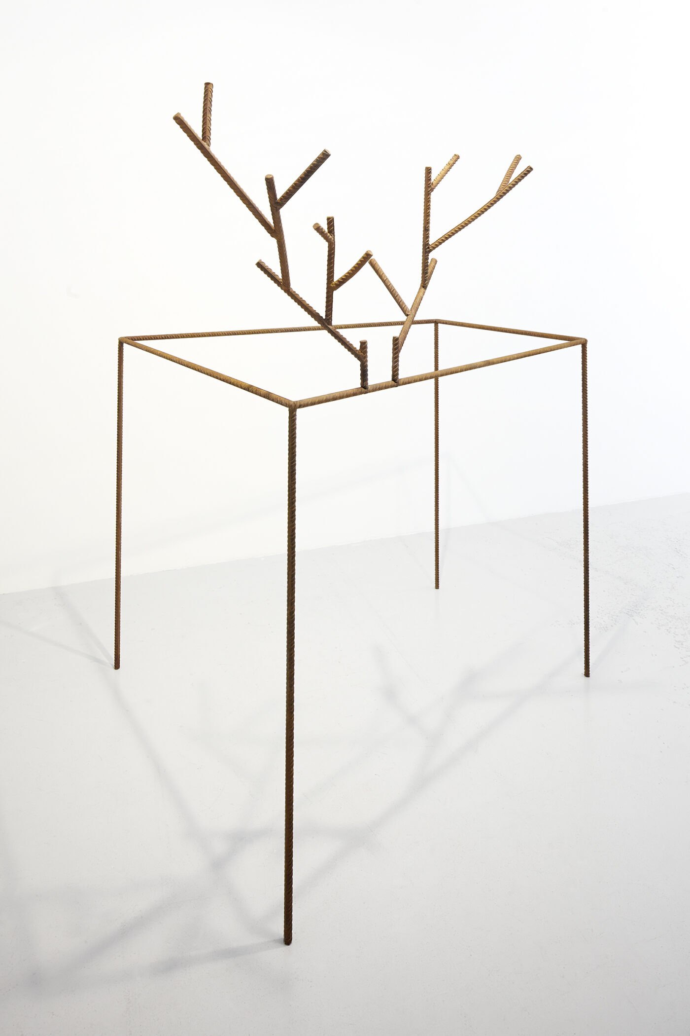 Galerie Lange + Pult – QUAE EST IN NATURA