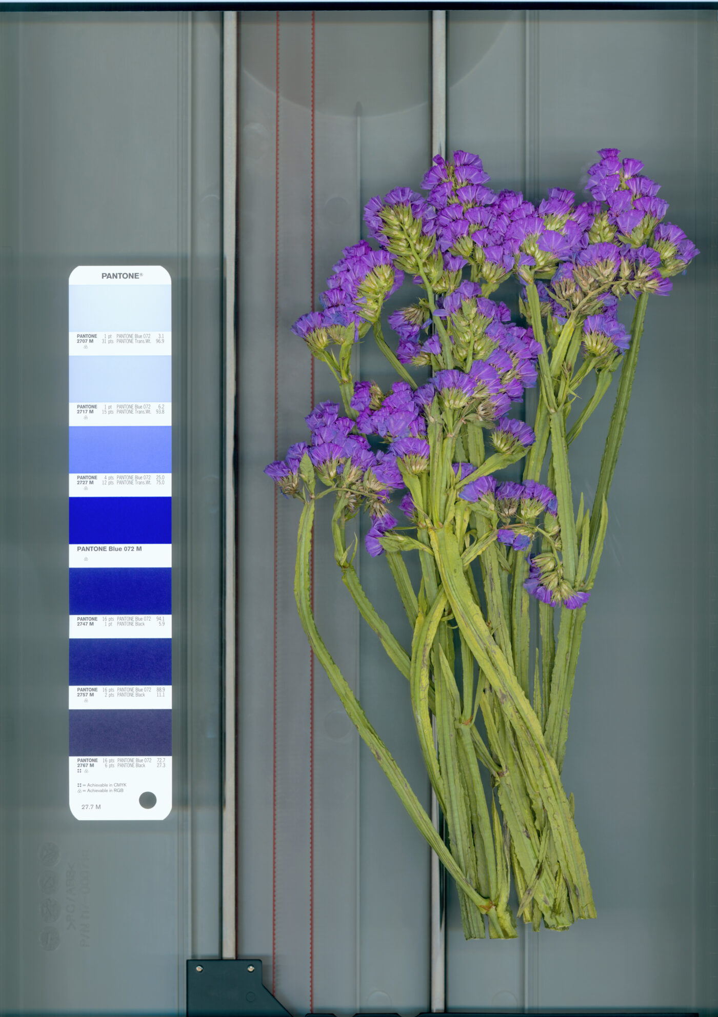 Galerie Lange + Pult – QUAE EST IN NATURA