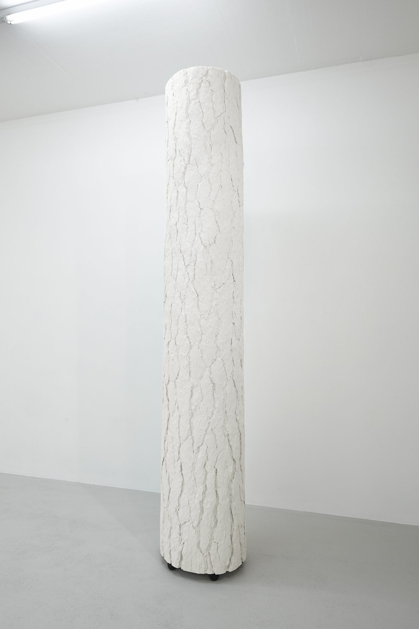 Galerie Lange + Pult – Didier Marcel