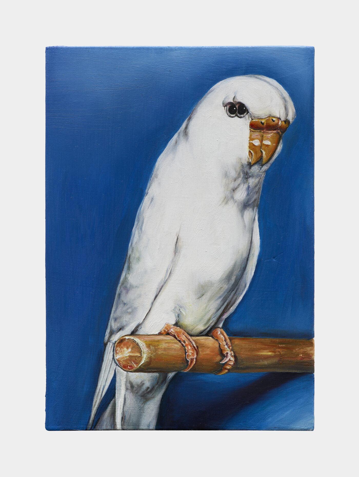 Galerie Lange + Pult – QUAE EST IN NATURA