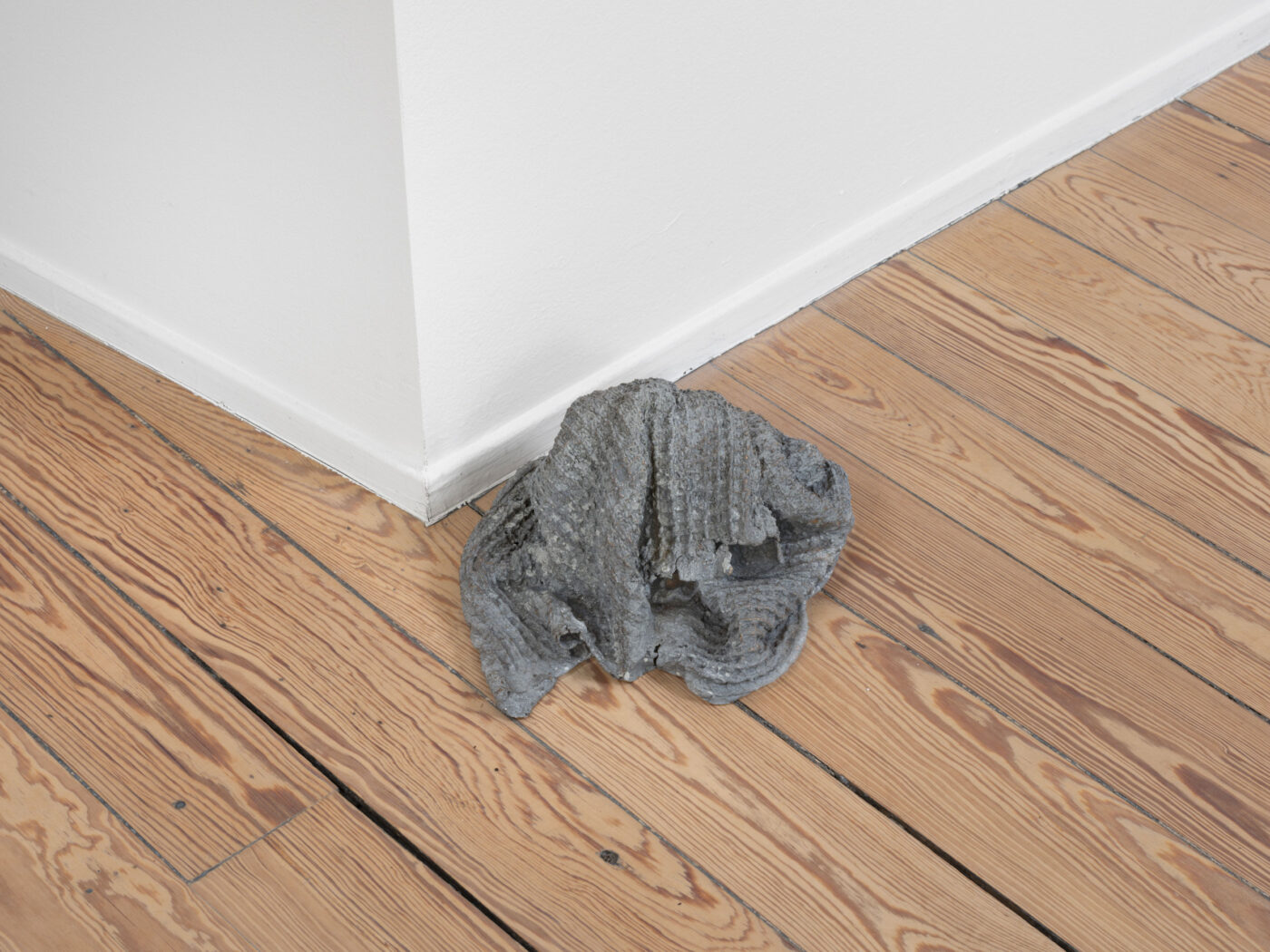 Galerie Lange + Pult – Delphine Reist