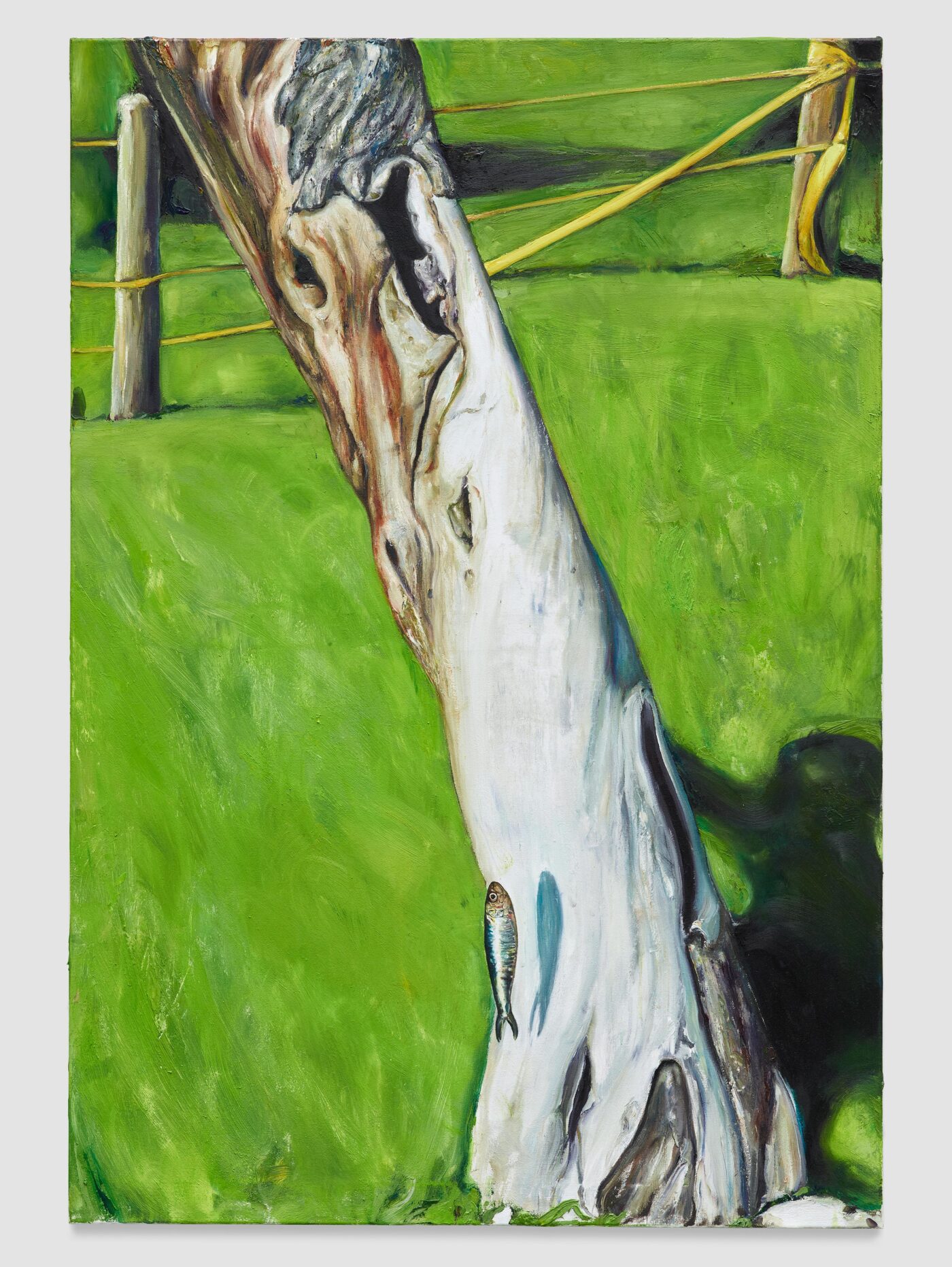 Galerie Lange + Pult – Léopold Rabus