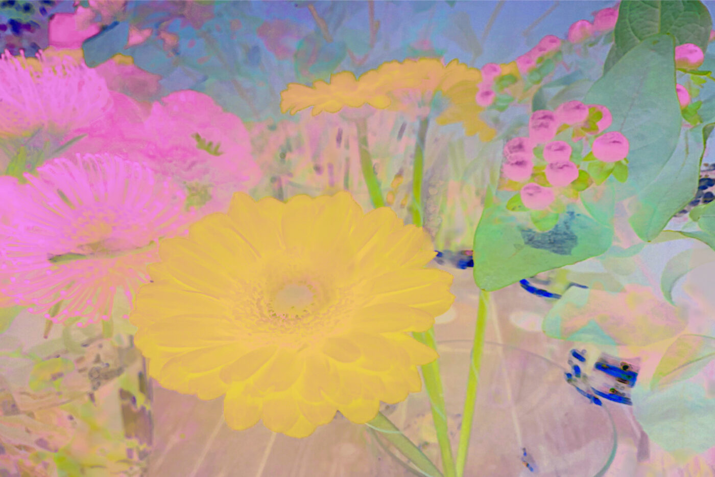 Galerie Lange + Pult – QUAE EST IN NATURA