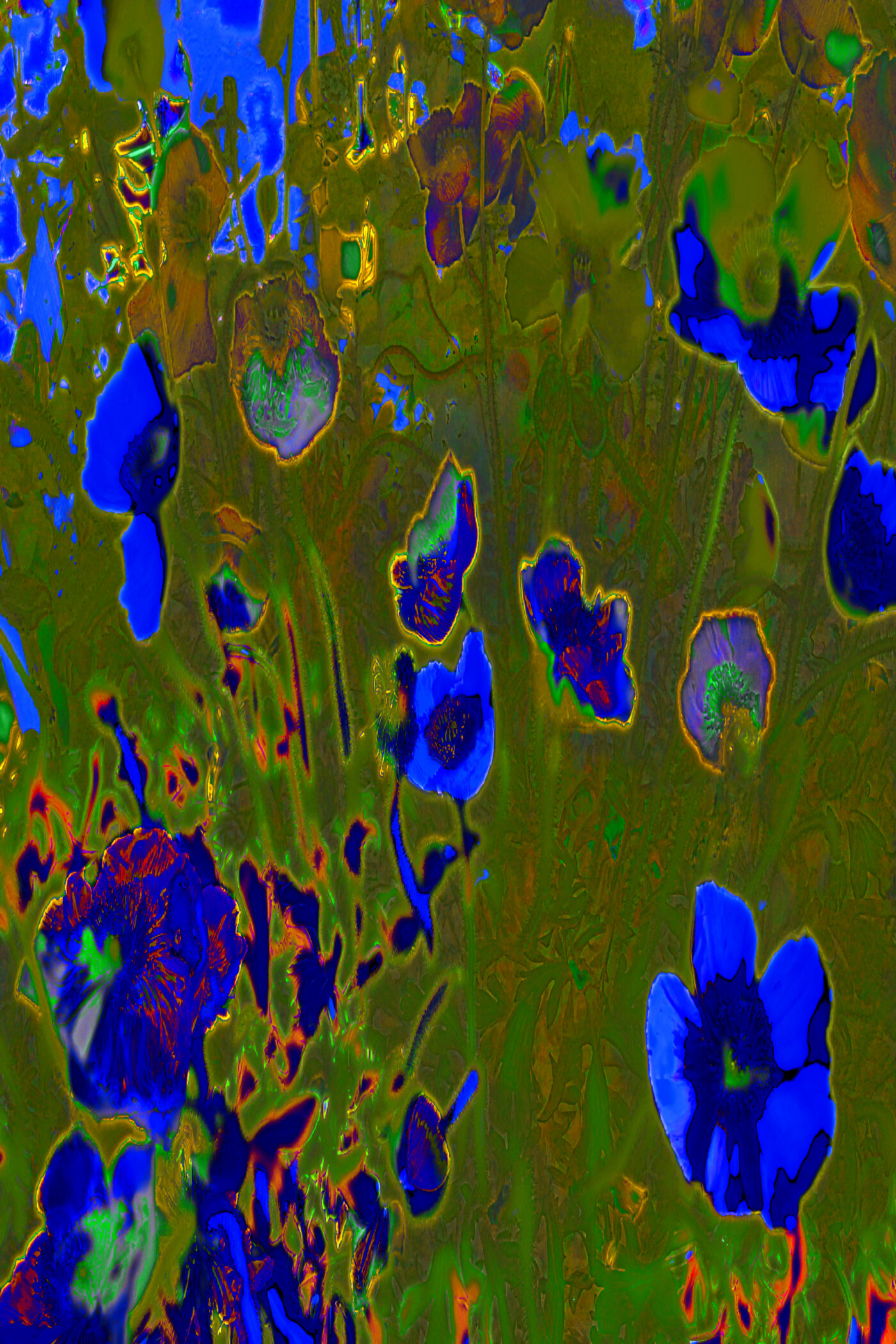 Galerie Lange + Pult – QUAE EST IN NATURA