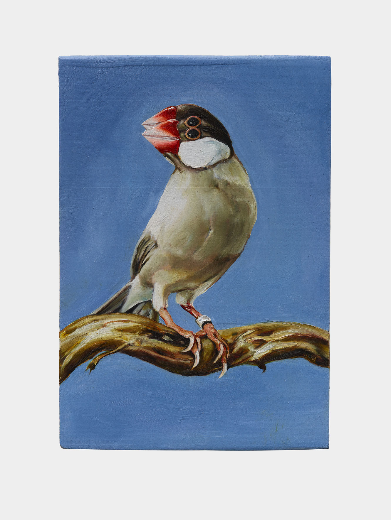 Galerie Lange + Pult – Léopold Rabus