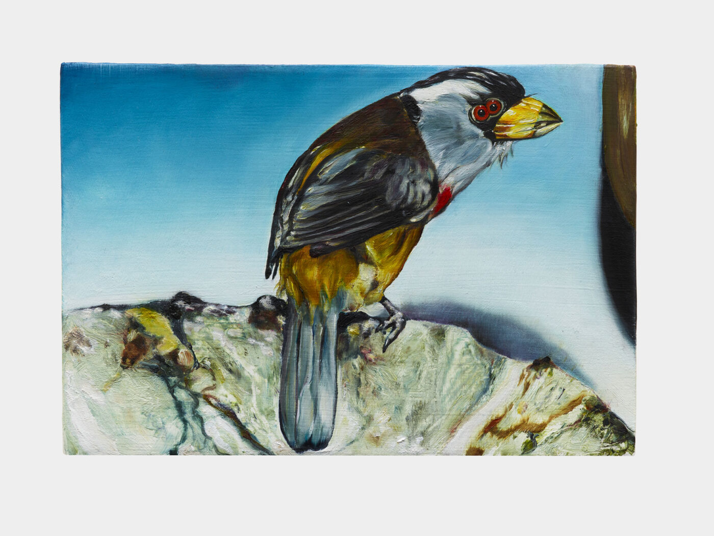 Galerie Lange + Pult – Léopold Rabus